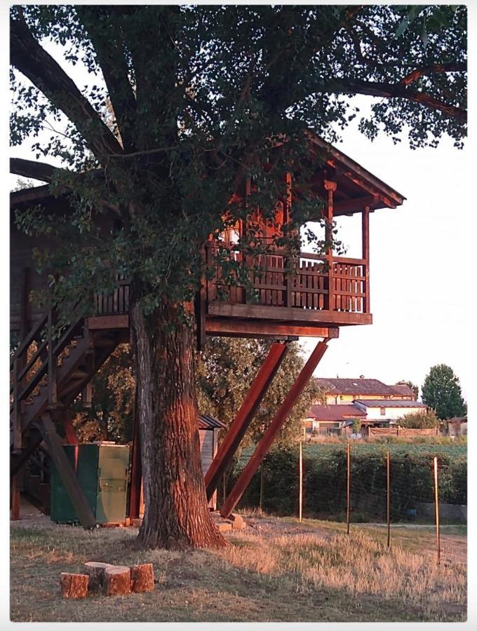 La Casa Sull'Albero Oasi Certosa Di Pavia Villa Borgarello Exterior photo