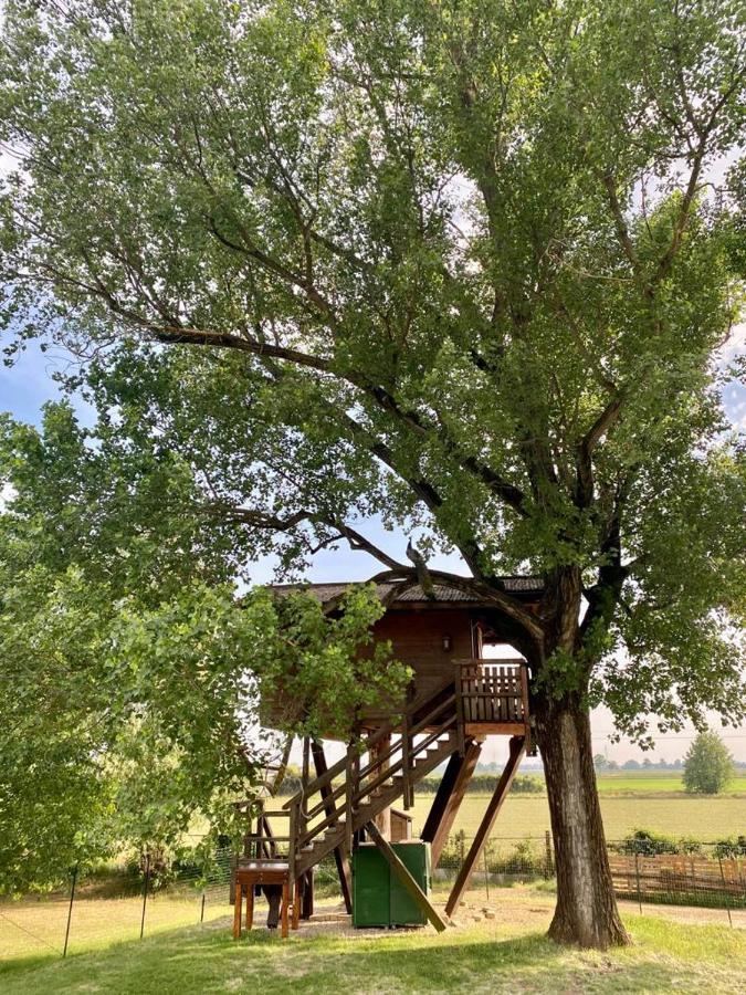 La Casa Sull'Albero Oasi Certosa Di Pavia Villa Borgarello Exterior photo