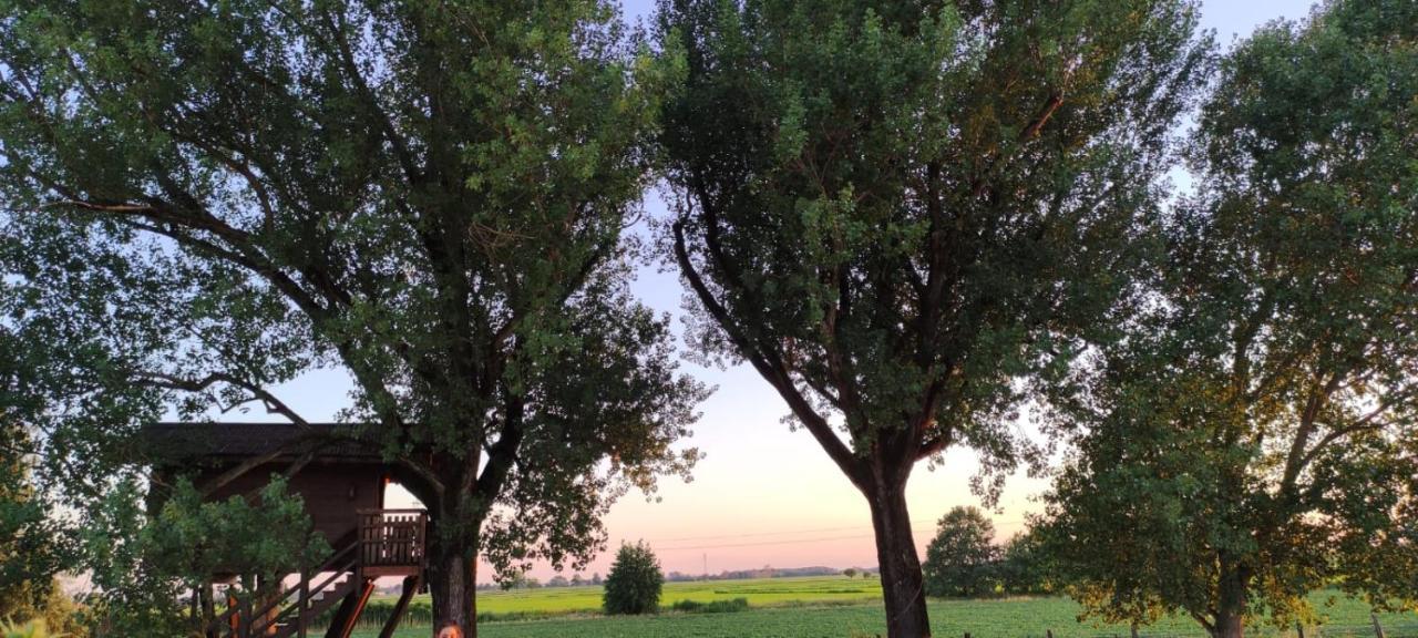 La Casa Sull'Albero Oasi Certosa Di Pavia Villa Borgarello Exterior photo