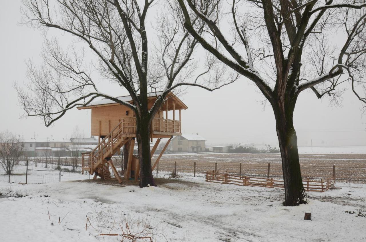 La Casa Sull'Albero Oasi Certosa Di Pavia Villa Borgarello Exterior photo