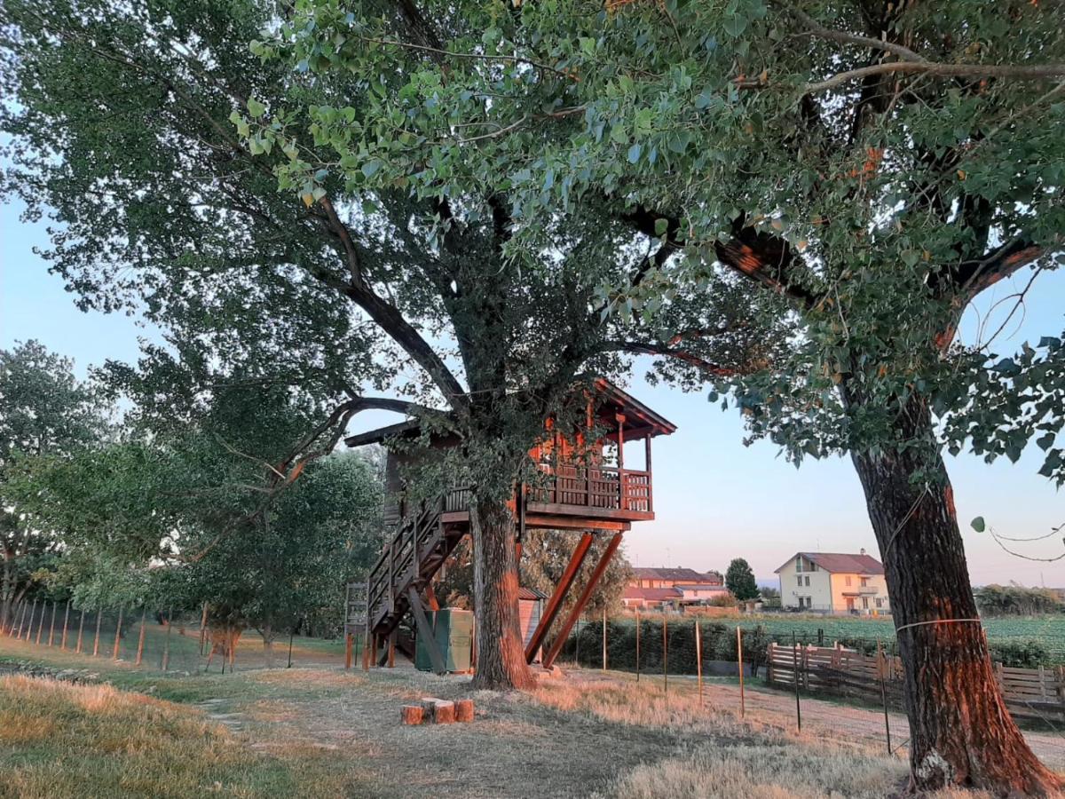 La Casa Sull'Albero Oasi Certosa Di Pavia Villa Borgarello Exterior photo